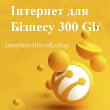 Інтернет для бізнесу 300Gb