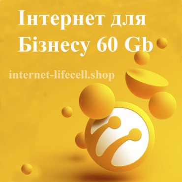 Інтернет для Бізнесу 60 Gb